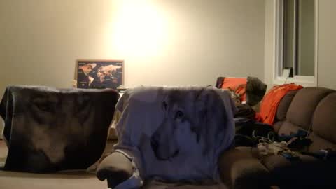 jameswolf777 online show from December 22, 6:54 am