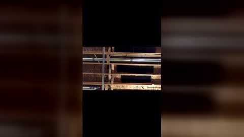 Snapshot of jamie19905 chatting on March 4, 3:45 am jamie19905 online show from March 4, 3:45 am