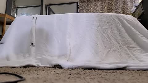 Bootyshows online show from March 12, 11:27 am