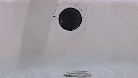 Bootyshows online show from March 15, 1:28 pm