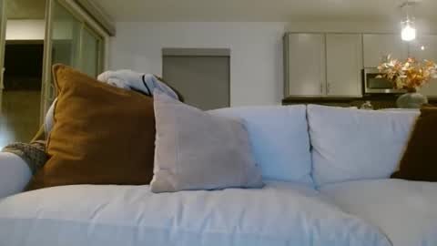 Snapshot of jasonsweets chatting on January 7, 3:09 am Jason Sweets online show from January 7, 3:09 am