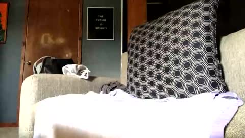 Snapshot of jawssharkparty chatting on September 10, 7:25 pm Jaws online show from September 10, 7:25 pm