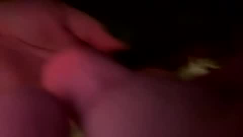 Jaws  online show from February 21, 7:09 am