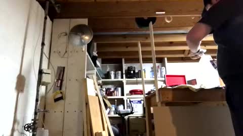 Jaws  online show from March 17, 7:39 pm