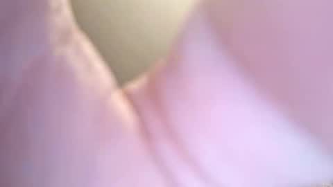 jay56777543234 online show from February 8, 11:24 am