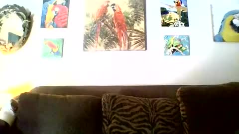 jay-jay1475 online show from November 17, 6:46 pm