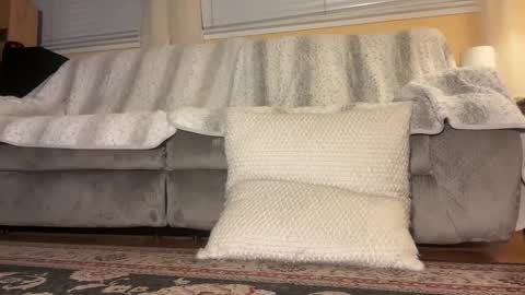 JB online show from October 26, 5:13 am