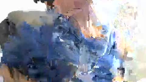 Jim online show from November 4, 7:24 pm