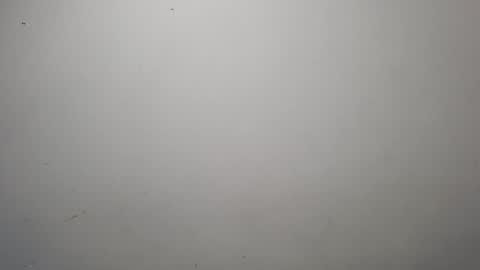 Snapshot of jeisonhoz chatting on October 13, 1:49 am jeisonfit online show from October 13, 1:49 am
