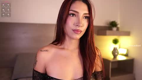     online show from July 11, 12:30 pm