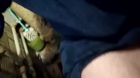 Snapshot of jennyyyyyyyad chatting on February 8, 1:33 pm Join me online show from February 8, 1:33 pm