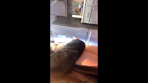 jerkcock260000 online show from February 16, 2:57 pm