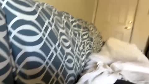 Jerkstar16 online show from December 5, 6:00 pm