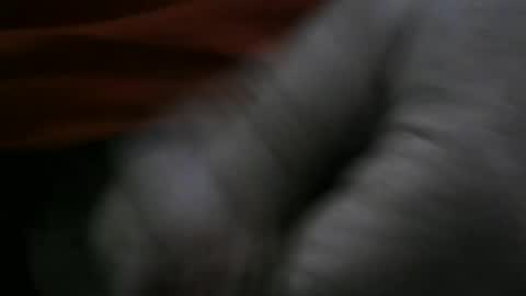 Snapshot of jerom111111111 chatting on January 2, 2:24 pm jerom111111111 online show from January 2, 2:24 pm