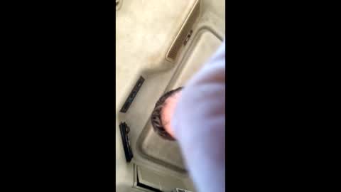 Snapshot of jesaj chatting on November 26, 12:50 pm jesaj online show from November 26, 12:50 pm