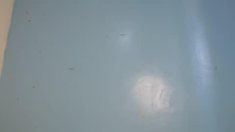 jia lisa online show from February 14, 9:17 am