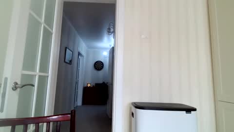 Jiana online show from January 13, 9:41 am