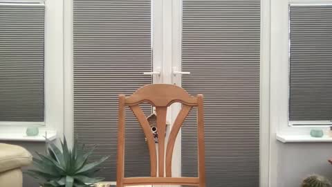 Jigz1986 online show from February 10, 3:53 pm