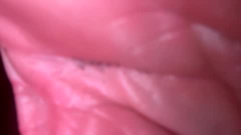 jim2233442211 online show from November 4, 6:12 am