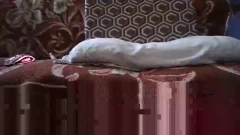 Snapshot of jimmyshelby12 chatting on January 25, 6:34 am jimmyshelby12 online show from January 25, 6:34 am