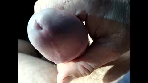 Snapshot of jjbanks57219 chatting on September 23, 11:08 pm jjbanks57219 online show from September 23, 11:08 pm