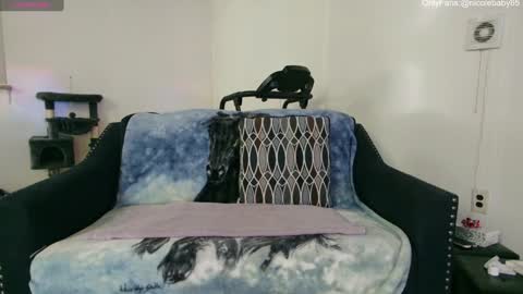 Snapshot of jjjust4fun1985 chatting on December 22, 1:55 am Nicole Allen online show from December 22, 1:55 am