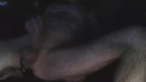 jjohnathan529 online show from February 24, 7:11 am