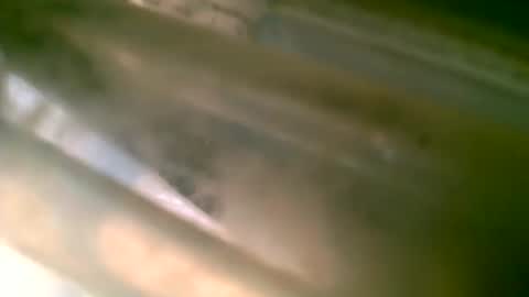 jlz2695 online show from March 6, 8:27 pm