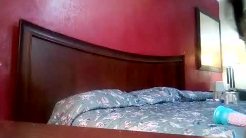 jmbaby online show from December 4, 2:59 pm