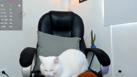 IGJmortton online show from December 1, 2:33 pm