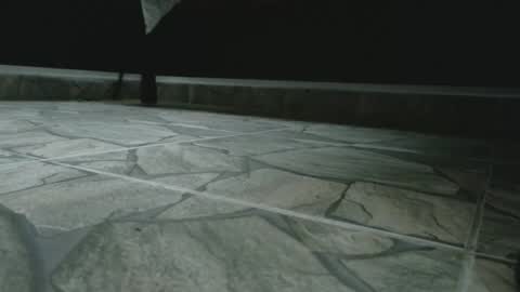 Jhulia online show from November 4, 2:05 pm