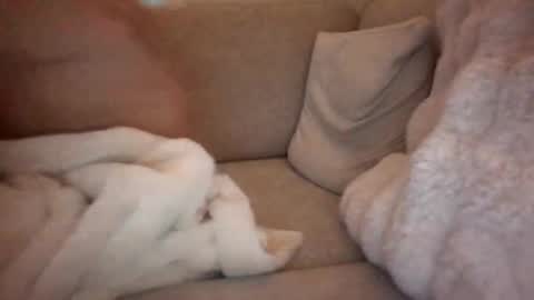 Snapshot of joeybanan chatting on December 14, 8:09 am joeybanan online show from December 14, 8:09 am