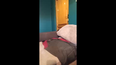 - Quantum - online show from March 21, 11:15 am