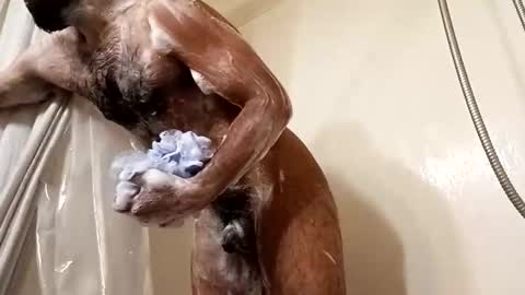 Snapshot of johenxxx chatting on November 25, 8:58 am johenxxx online show from November 25, 8:58 am