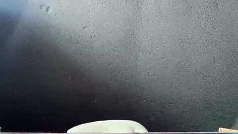 Snapshot of john_marston2 chatting on May 29, 7:17 am John Marston online show from May 29, 7:17 am