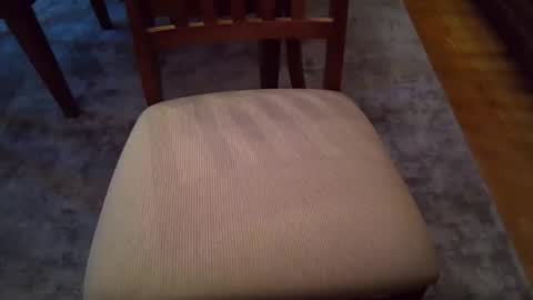 johnxxx549 online show from December 2, 2:12 pm