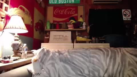 Snapshot of johstondude chatting on May 25, 1:44 am Johston online show from May 25, 1:44 am