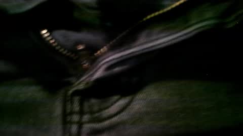 Snapshot of jointhechat chatting on January 12, 4:31 am Dirty Harry online show from January 12, 4:31 am