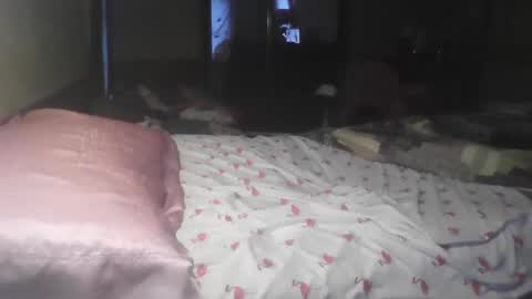 jojosbizarrelyf online show from November 17, 11:21 pm