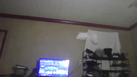 jojosbizarrelyf online show from November 20, 2:56 am