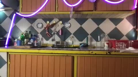 Jony Marta GMT 2000-0100 every day online show from November 19, 6:30 pm