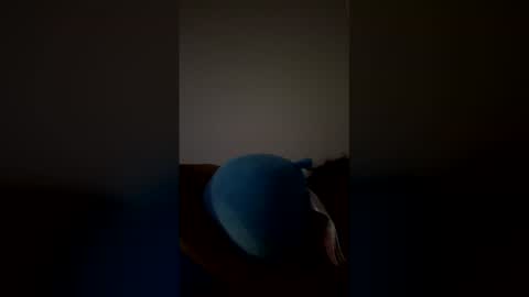 Snapshot of joshua_b11 chatting on March 28, 6:46 am joshua_b11 online show from March 28, 6:46 am