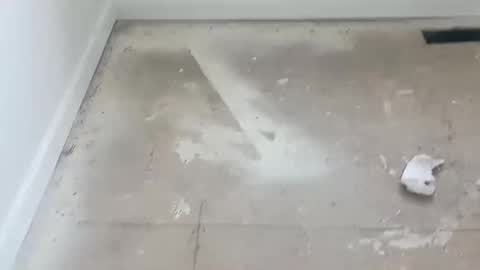 Snapshot of joshuatreestroker chatting on February 19, 6:00 pm joshuatreestroker online show from February 19, 6:00 pm