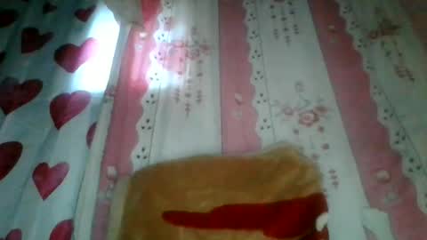 Snapshot of josy918592 chatting on June 17, 3:53 am josy918592 online show from June 17, 3:53 am
