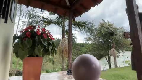 Im Jouliano online show from November 15, 8:05 pm