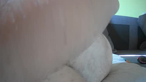 jozampo online show from September 28, 3:06 pm