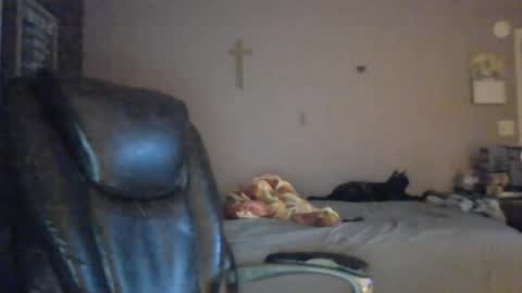 jpetz69257238 online show from August 5, 5:21 am