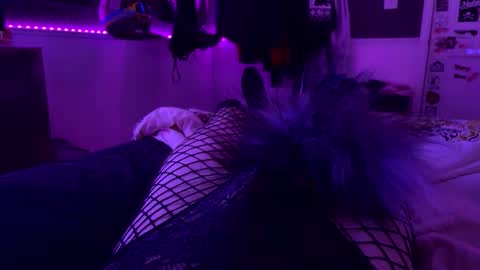 Snapshot of jrod11229 chatting on October 24, 2:30 am jrod11229 online show from October 24, 2:30 am