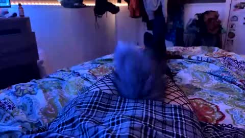 Snapshot of jrod11229 chatting on October 27, 2:15 am jrod11229 online show from October 27, 2:15 am