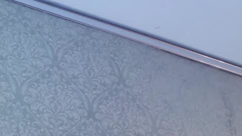 juanita online show from February 12, 5:52 pm